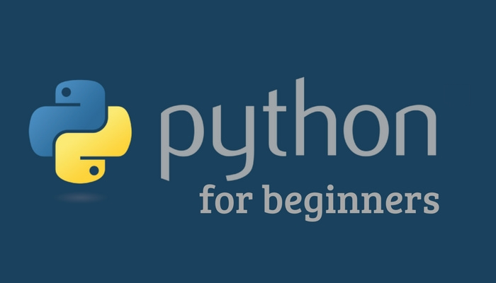 python language for beginners